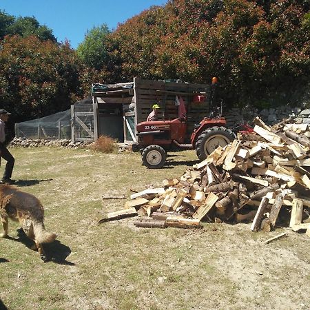 Chale Pouso Da Serra - Casas De Montanha Costilhao 외부 사진